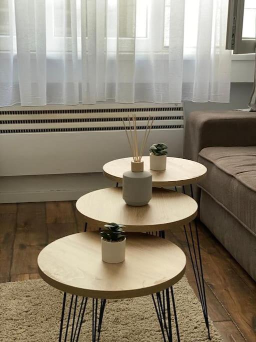 Apartment In Belgrade With Small Parking Space Exteriör bild